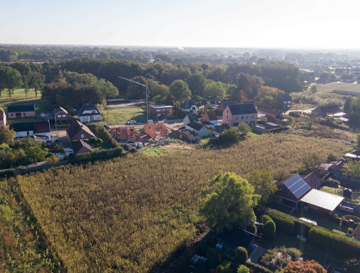 Nieuwbouwproject 6% BTW - 2 open bebouwingen te Hulshout Molenstraat  15 2235 Hulshout 80800558